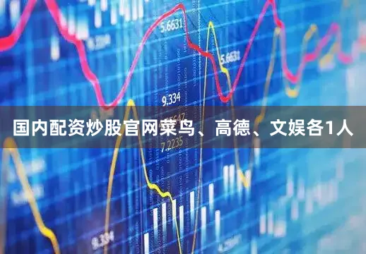 国内配资炒股官网菜鸟、高德、文娱各1人
