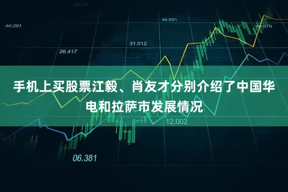 手机上买股票　　江毅、肖友才分别介绍了中国华电和拉萨市发展情况