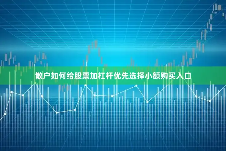 散户如何给股票加杠杆优先选择小额购买入口