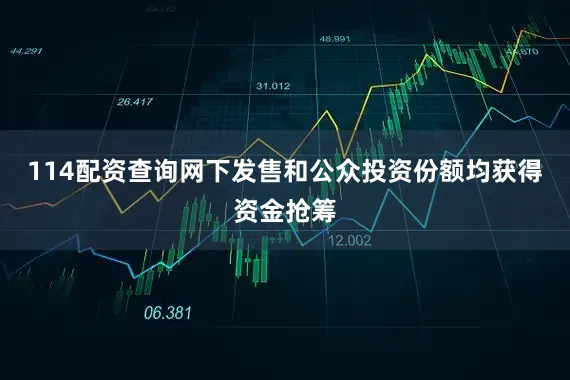 114配资查询网下发售和公众投资份额均获得资金抢筹
